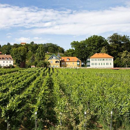 Weingut Haus Steinbach Villa Radebeul Exteriör bild