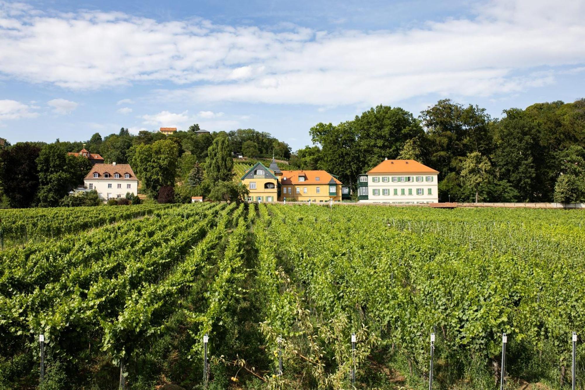Weingut Haus Steinbach Villa Radebeul Exteriör bild