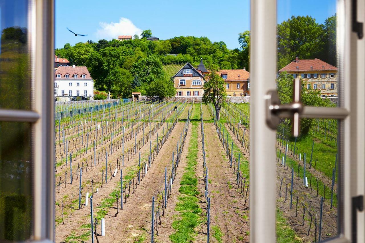 Weingut Haus Steinbach Villa Radebeul Exteriör bild