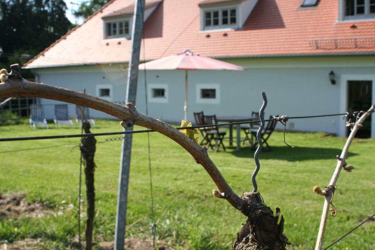 Weingut Haus Steinbach Villa Radebeul Exteriör bild